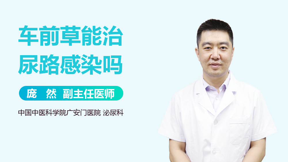 车前草能治尿路感染吗