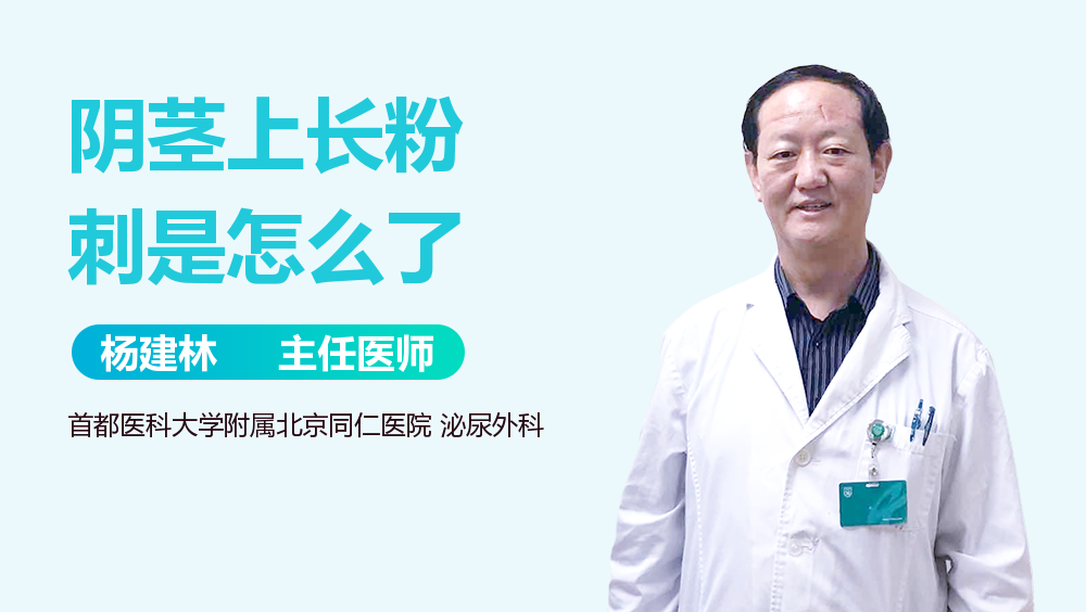 阴茎上长粉刺是怎么了