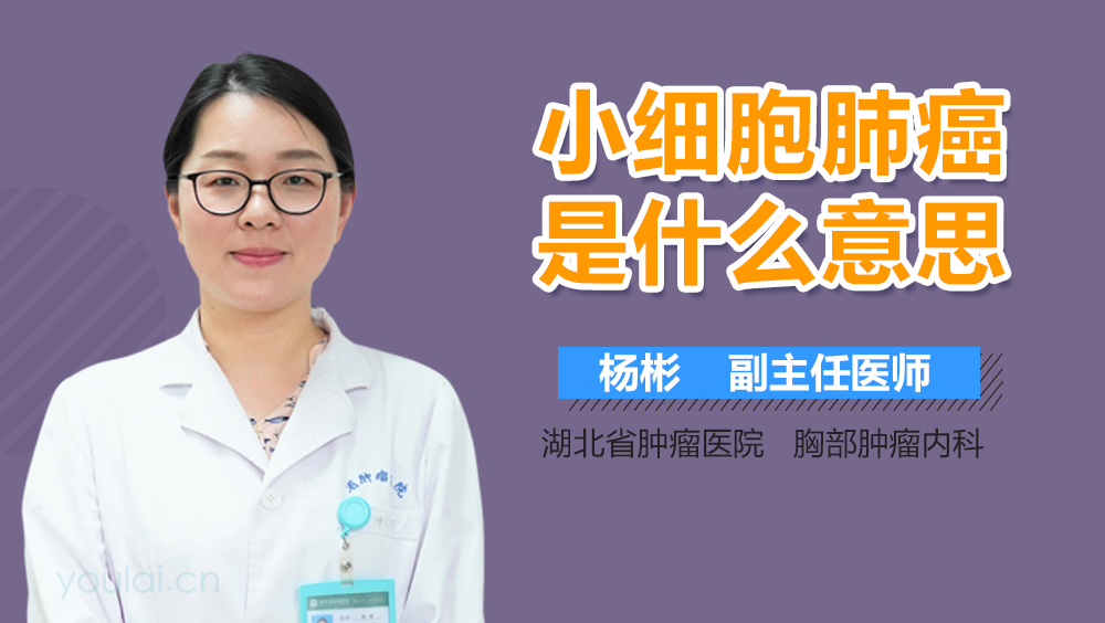 小细胞肺癌是什么意思