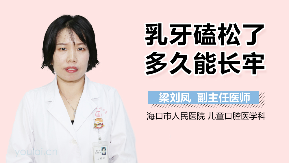 乳牙磕松了多久能长牢