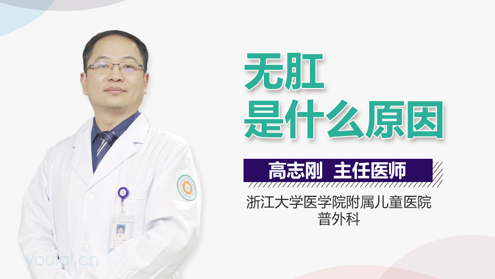 无肛是什么原因