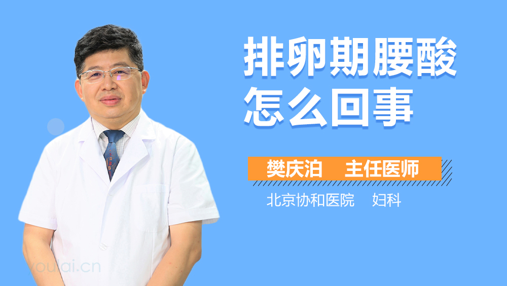 排卵期腰酸怎么回事