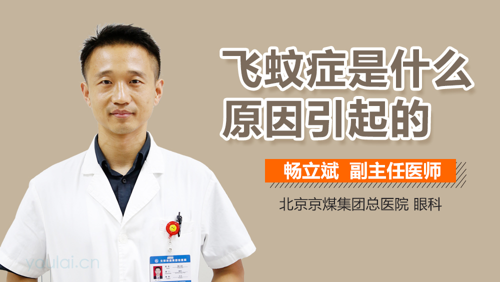 飞蚊症是什么原因引起的