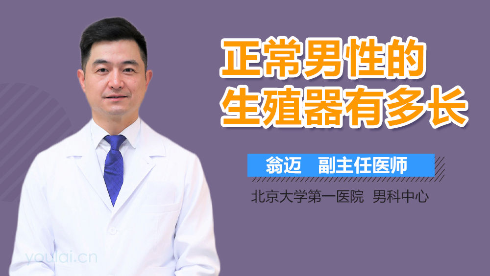 正常男性的生殖器有多长
