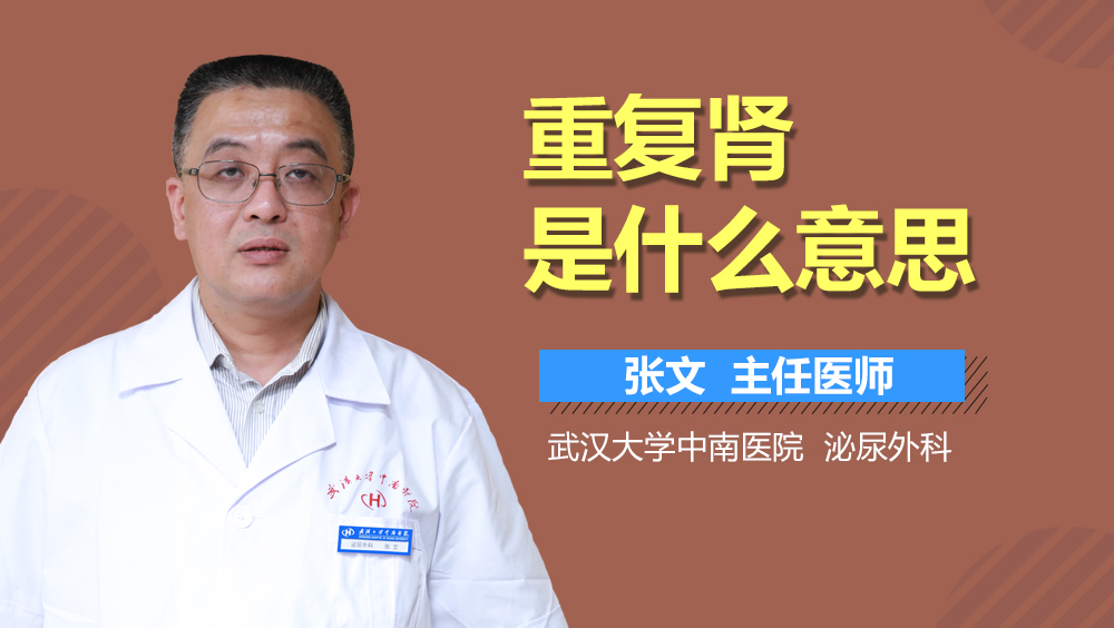 重复肾是什么意思