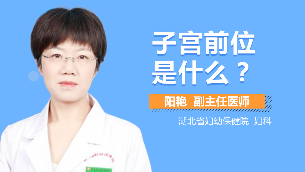 子宫前位是什么
