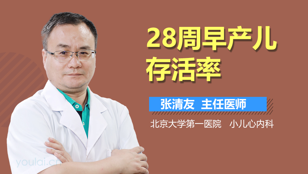 28周早产儿存活率