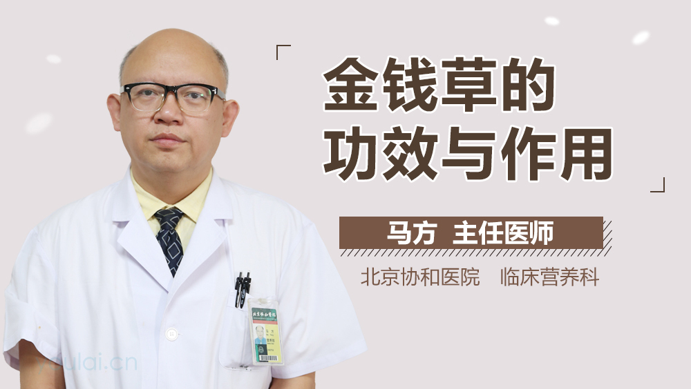 金钱草的功效与作用