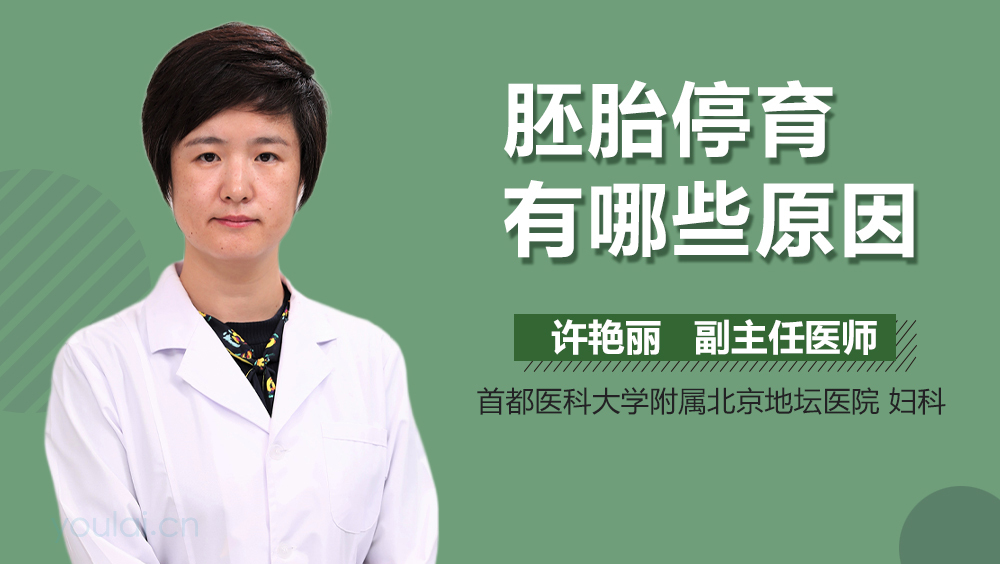 胚胎停育有哪些原因
