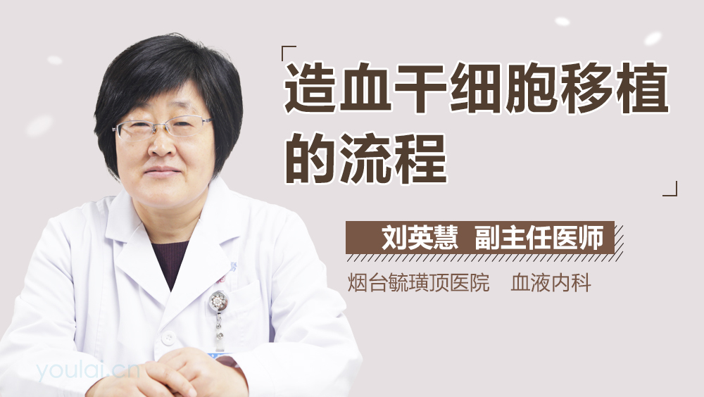 造血干细胞移植的流程