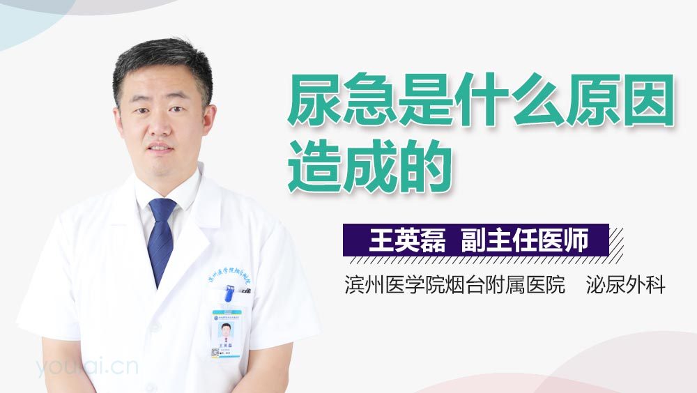 尿急是什么原因造成的