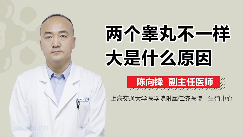 两个睾丸不一样大是什么原因