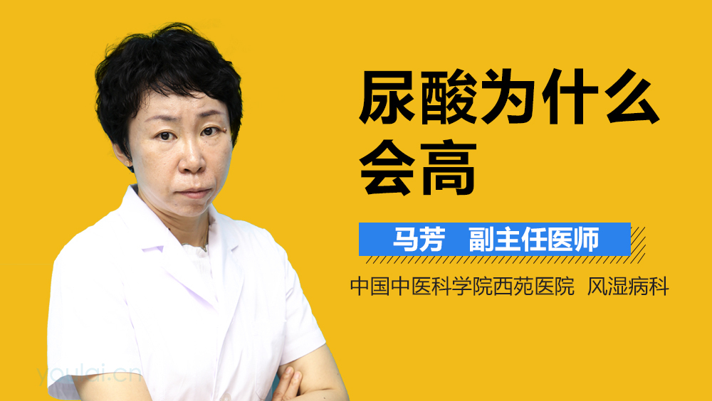 尿酸为什么会高