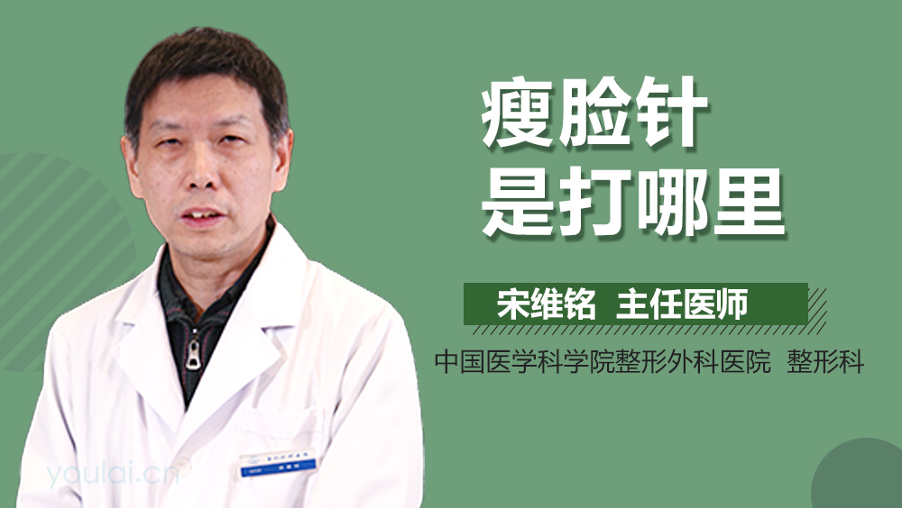 瘦脸针是打哪里