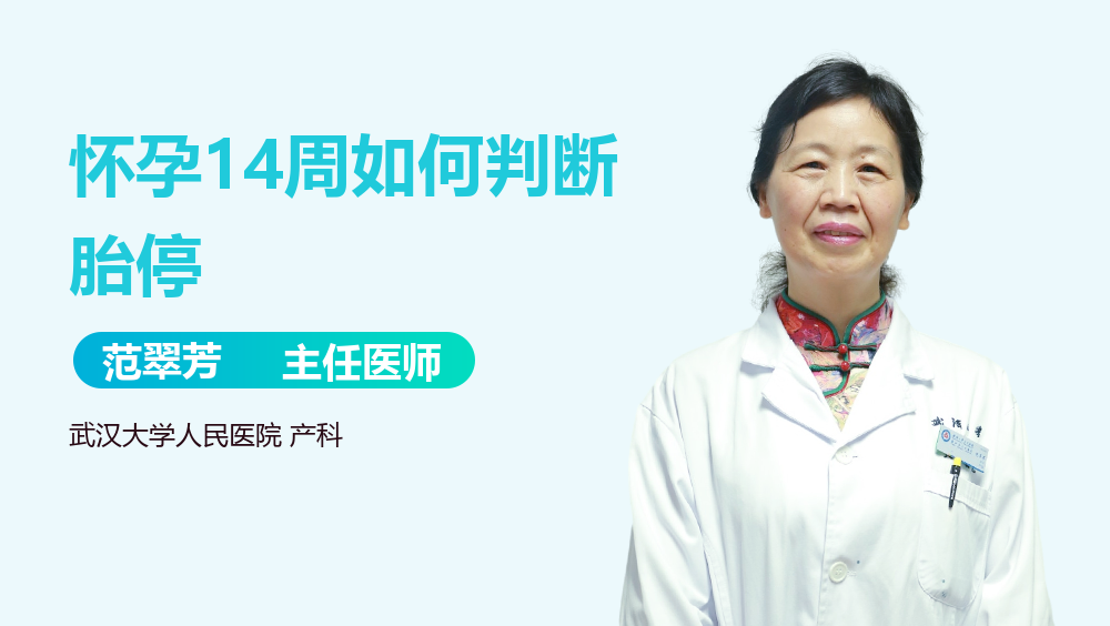 怀孕14周如何判断胎停