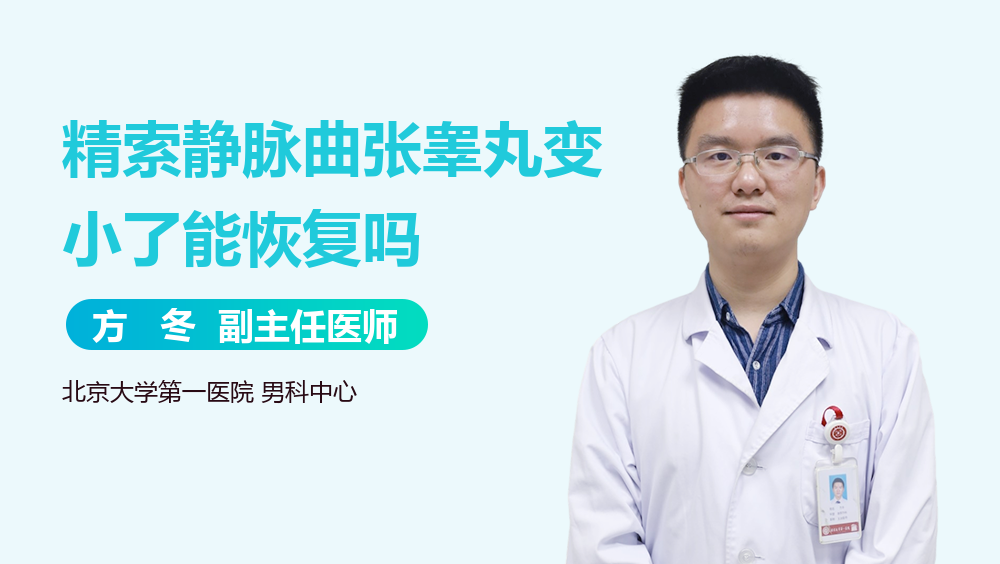 精索静脉曲张睾丸变小了能恢复吗