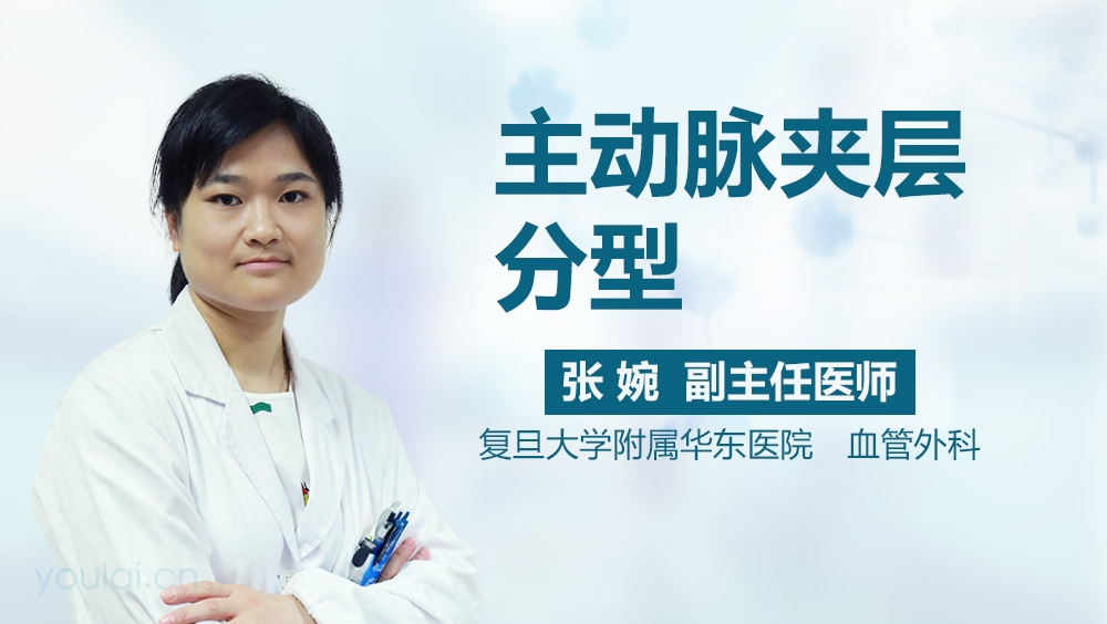 主动脉夹层分型