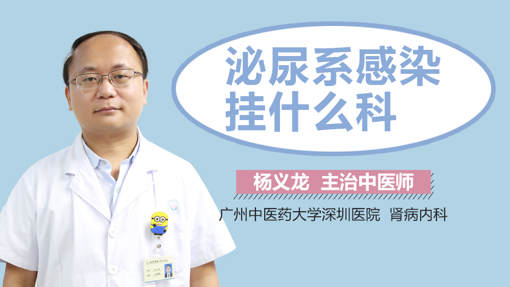 泌尿系感染挂什么科