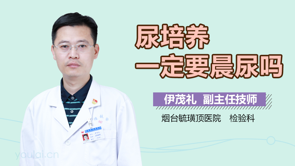 尿培养一定要晨尿吗