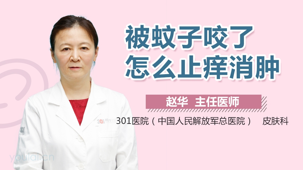 被蚊子咬了怎么止痒消肿