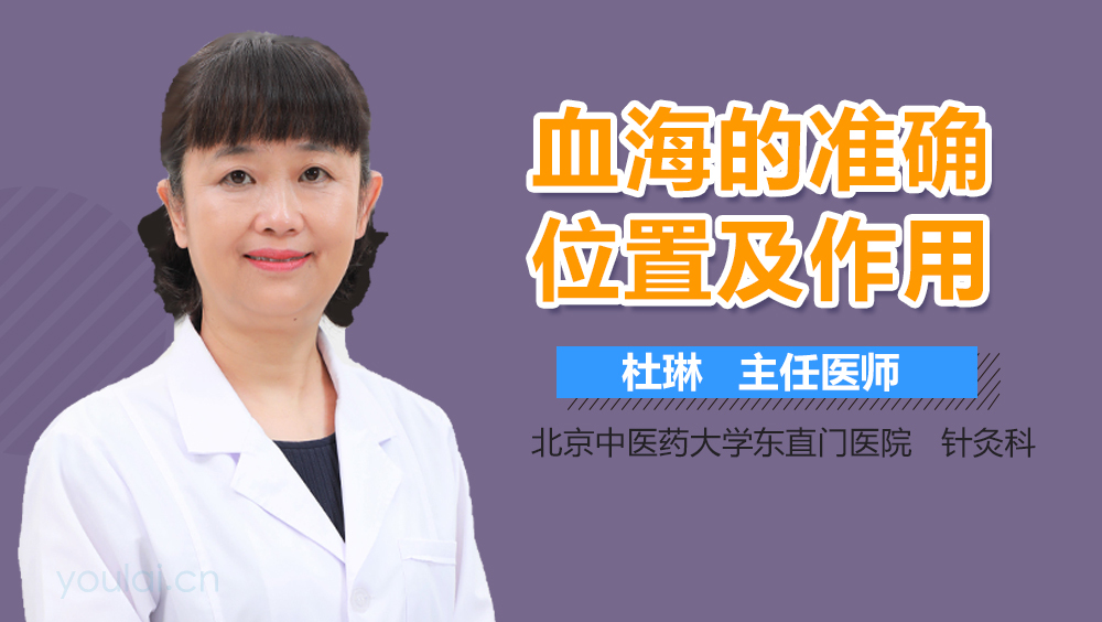 血海的准确位置及作用