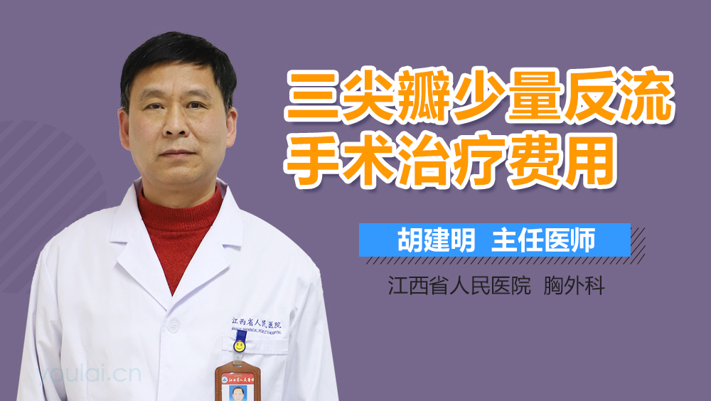 三尖瓣少量反流手术治疗费用