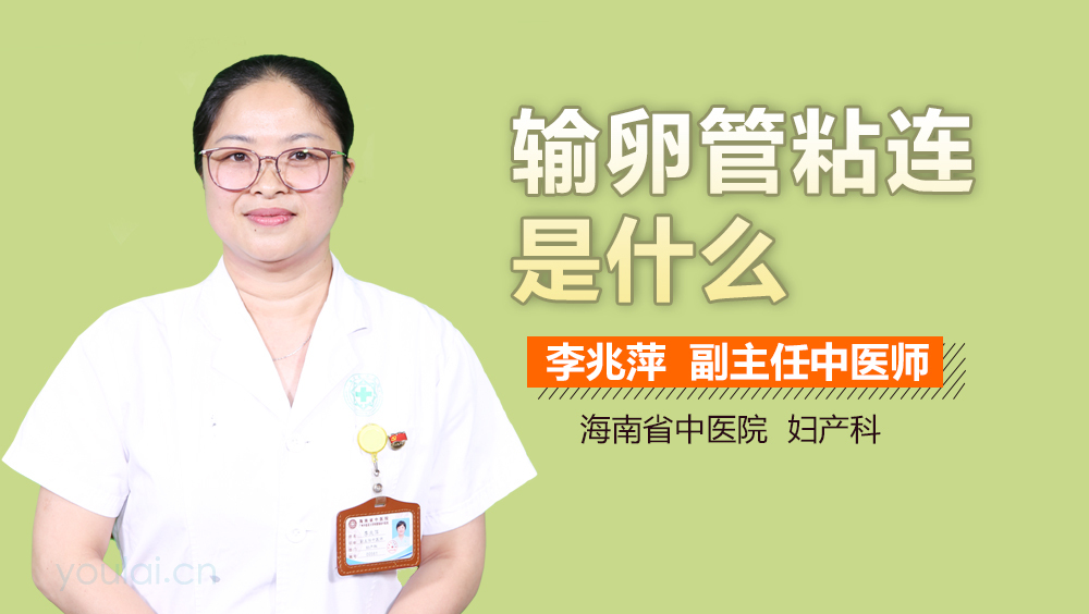 输卵管粘连是什么