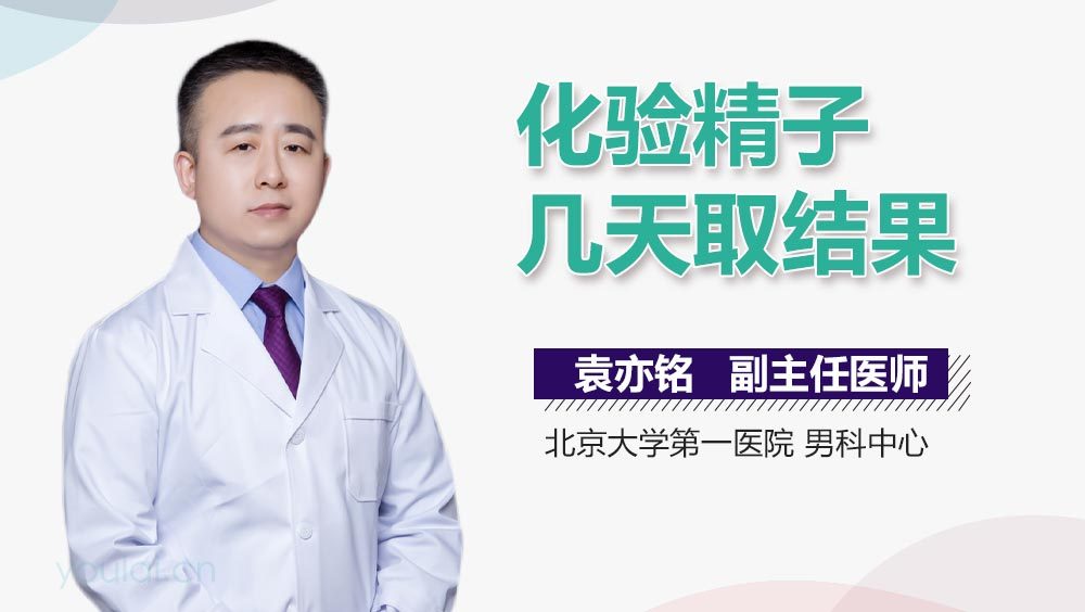 化验精子几天取结果