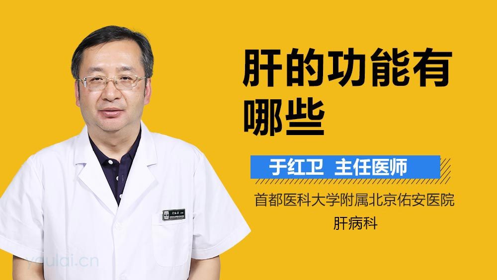 肝的功能有哪些