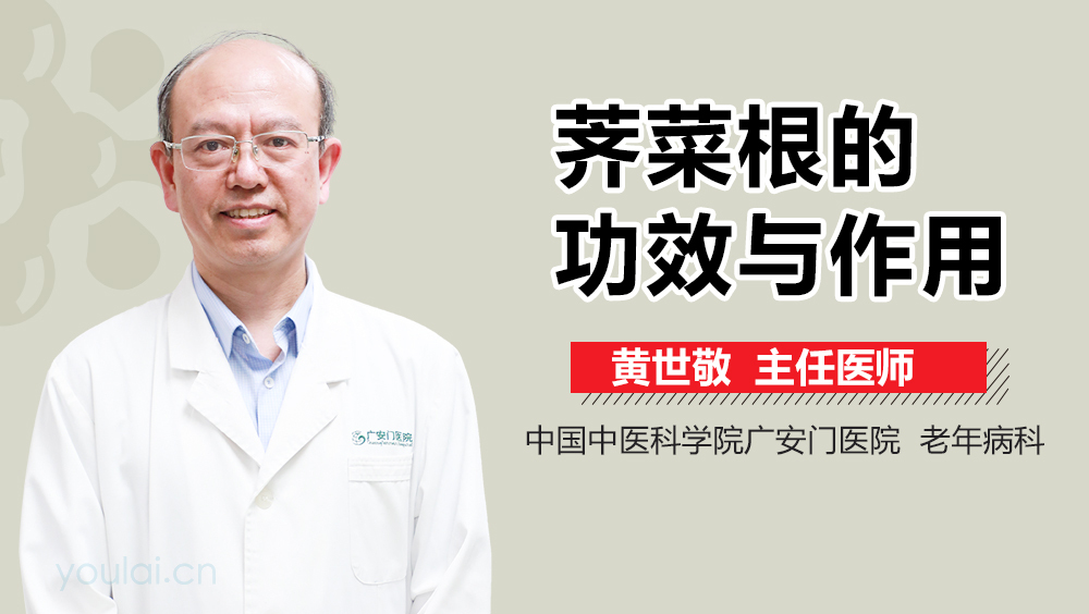 荠菜根的功效与作用