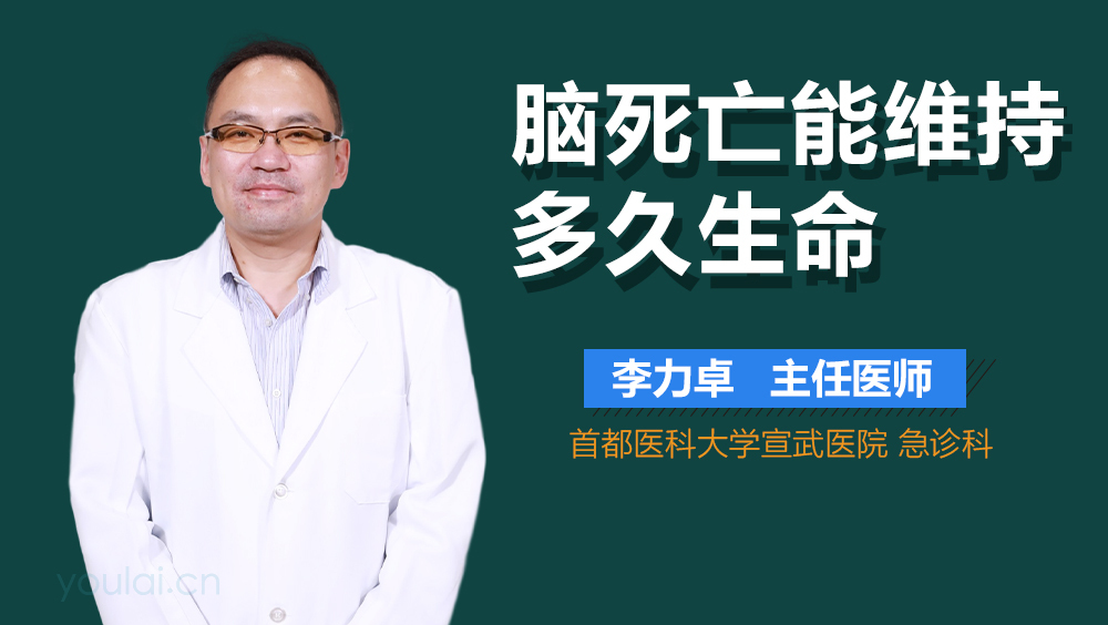 脑死亡能维持多久生命