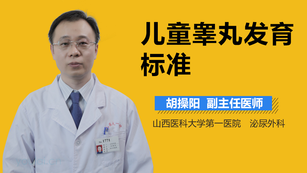 儿童睾丸发育标准