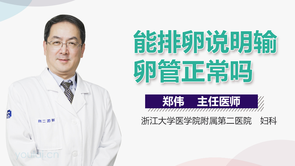 能排卵说明输卵管正常吗