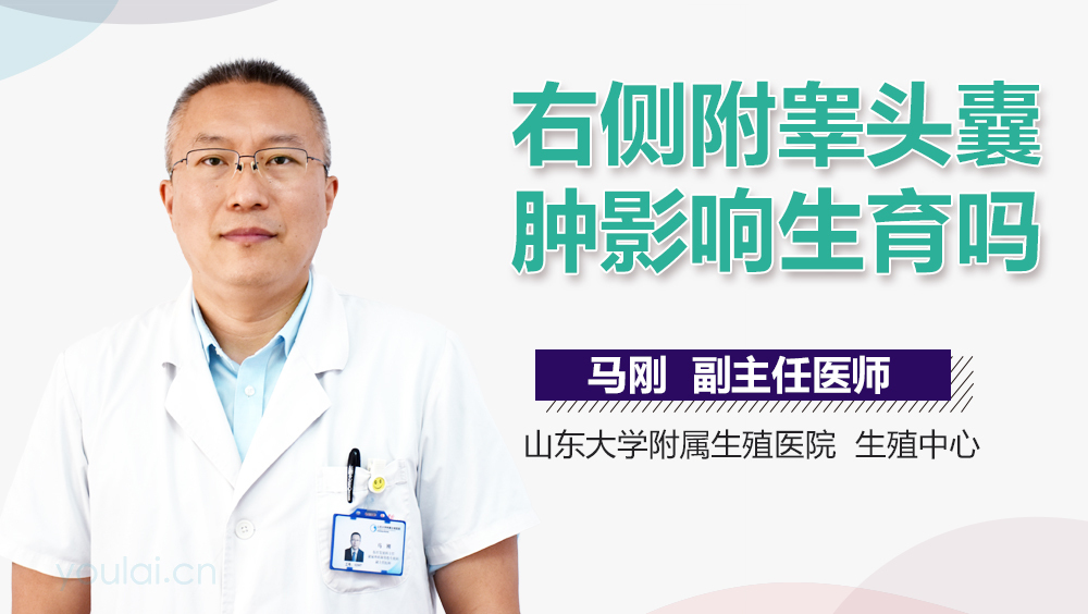 右侧附睾头囊肿影响生育吗