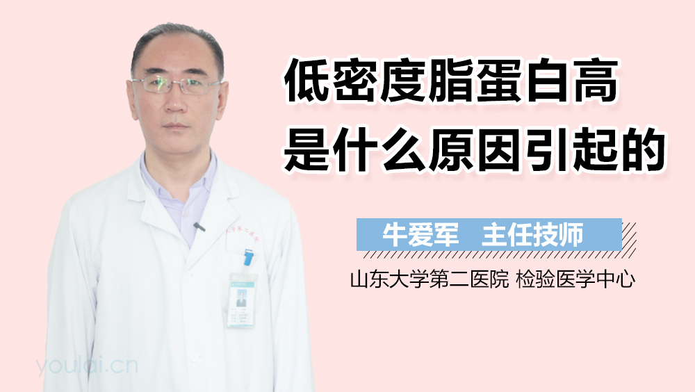 低密度脂蛋白高是什么原因引起的