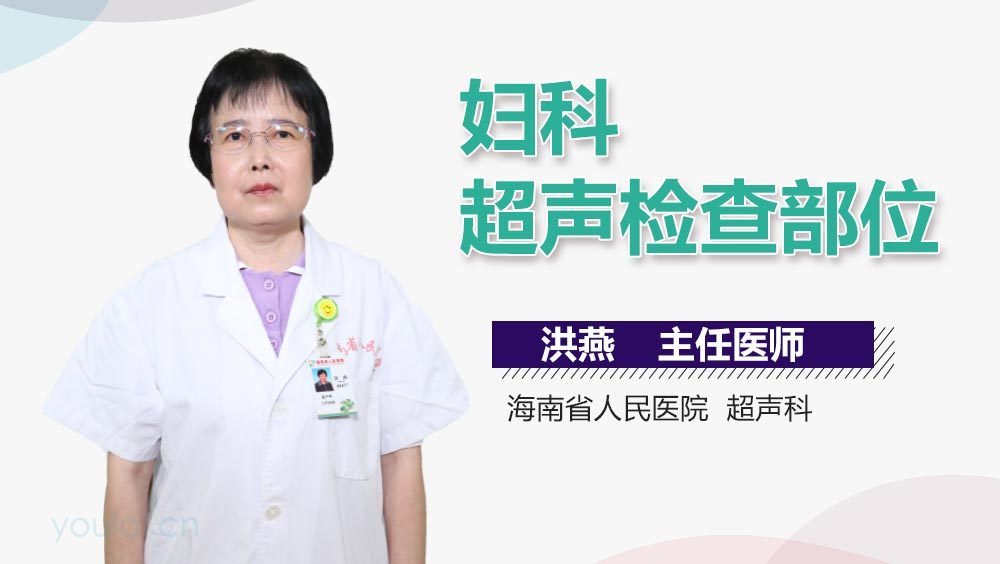 妇科超声检查部位