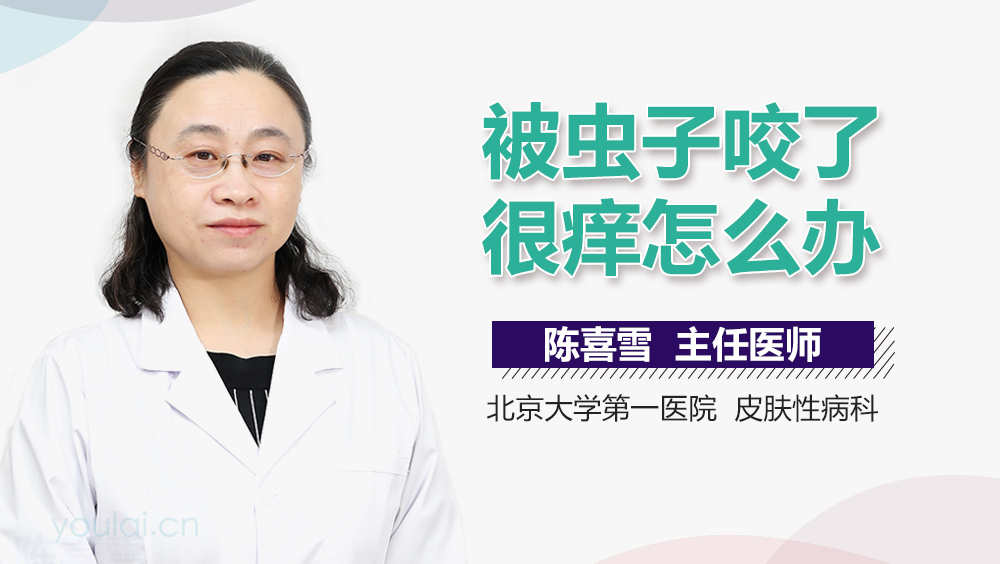 被虫子咬了很痒怎么办