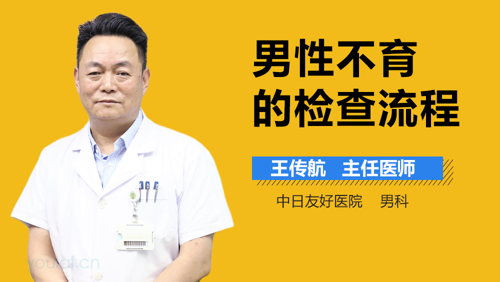 男性不育的检查流程