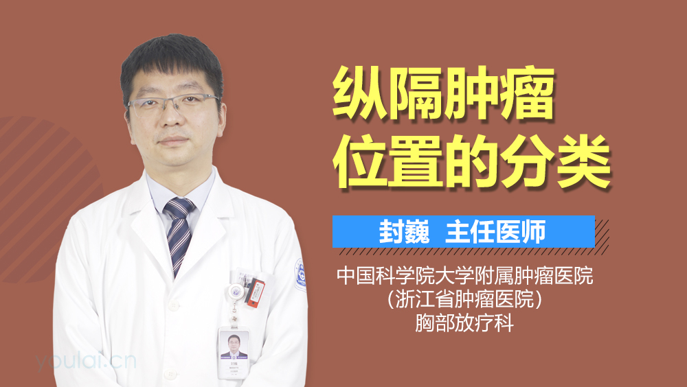 纵隔肿瘤位置的分类