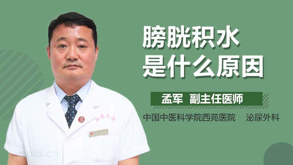 膀胱积水是什么原因