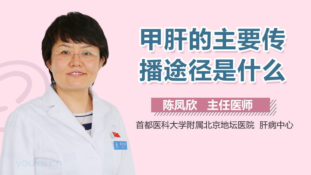 甲肝的主要传播途径是什么