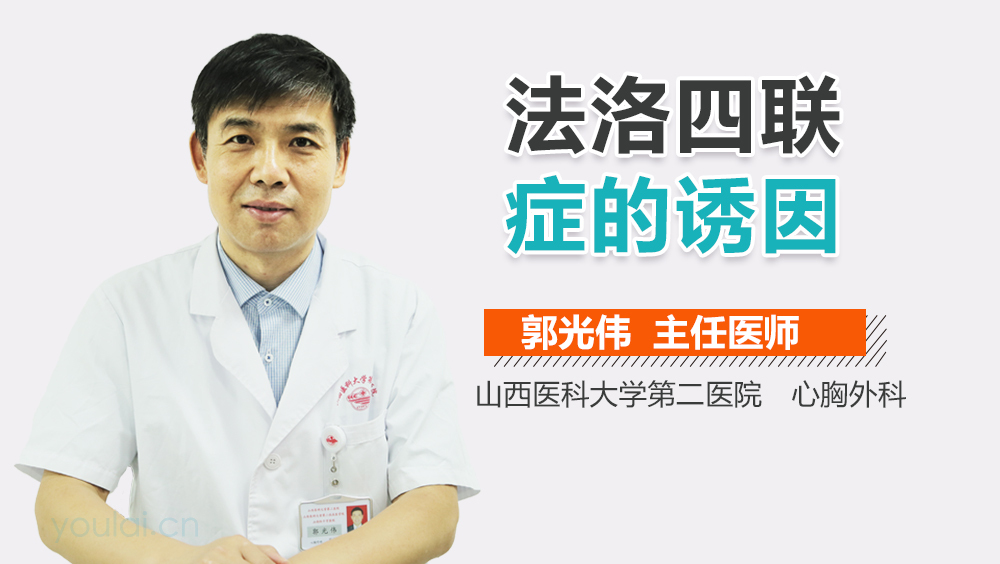 法洛四联症的诱因