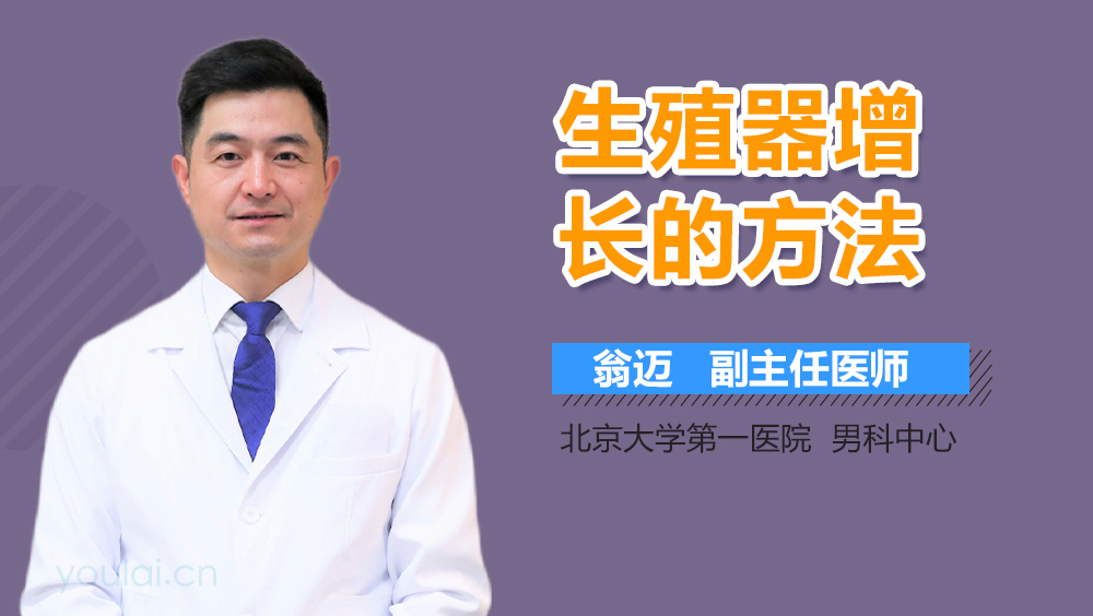 生殖器增长的方法