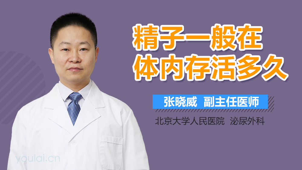 精子一般在体内存活多久