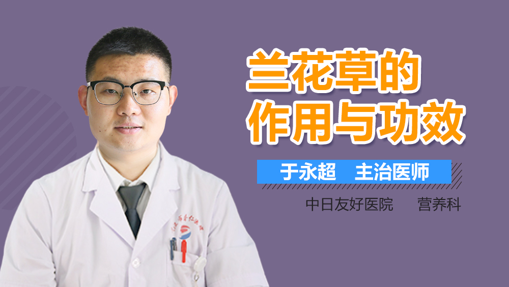 兰花草的作用与功效