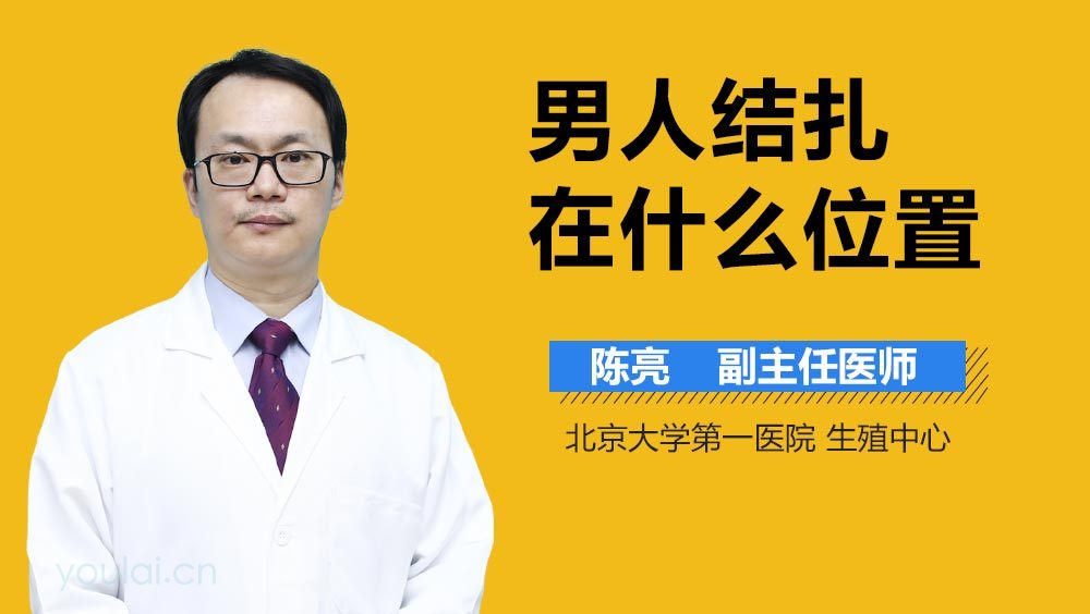 男人结扎在什么位置