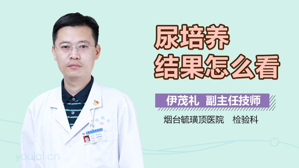 尿培养结果怎么看