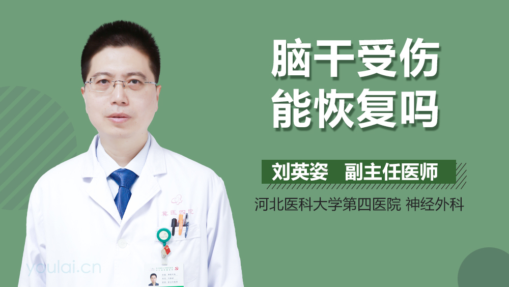 脑干受伤能恢复吗