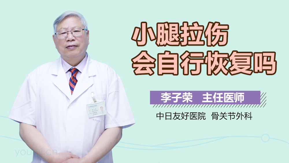 小腿拉伤会自行恢复吗