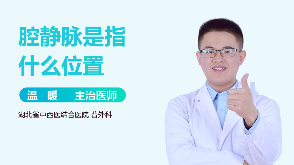 腔静脉是指什么位置